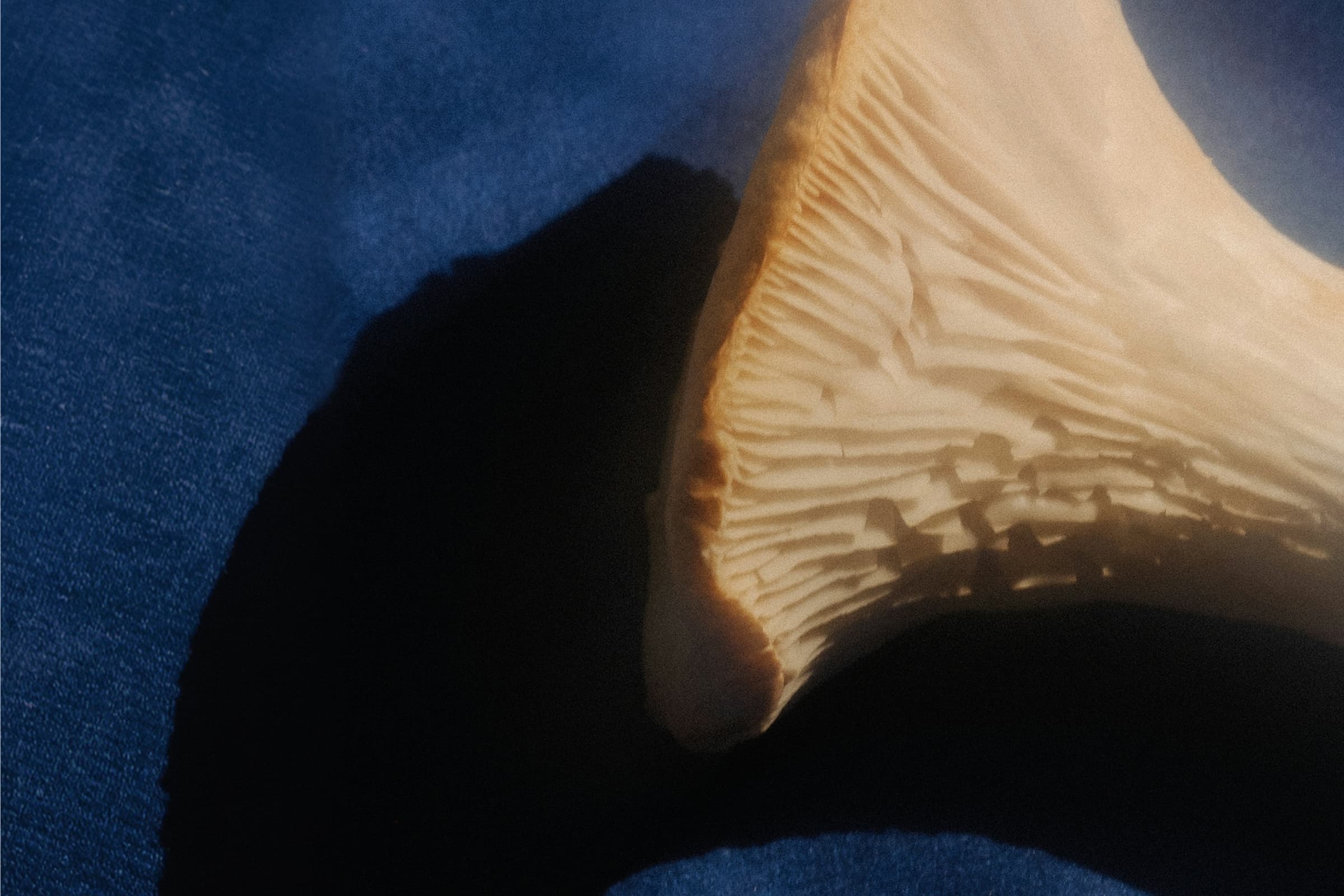 The Best Nootropics For ADHD