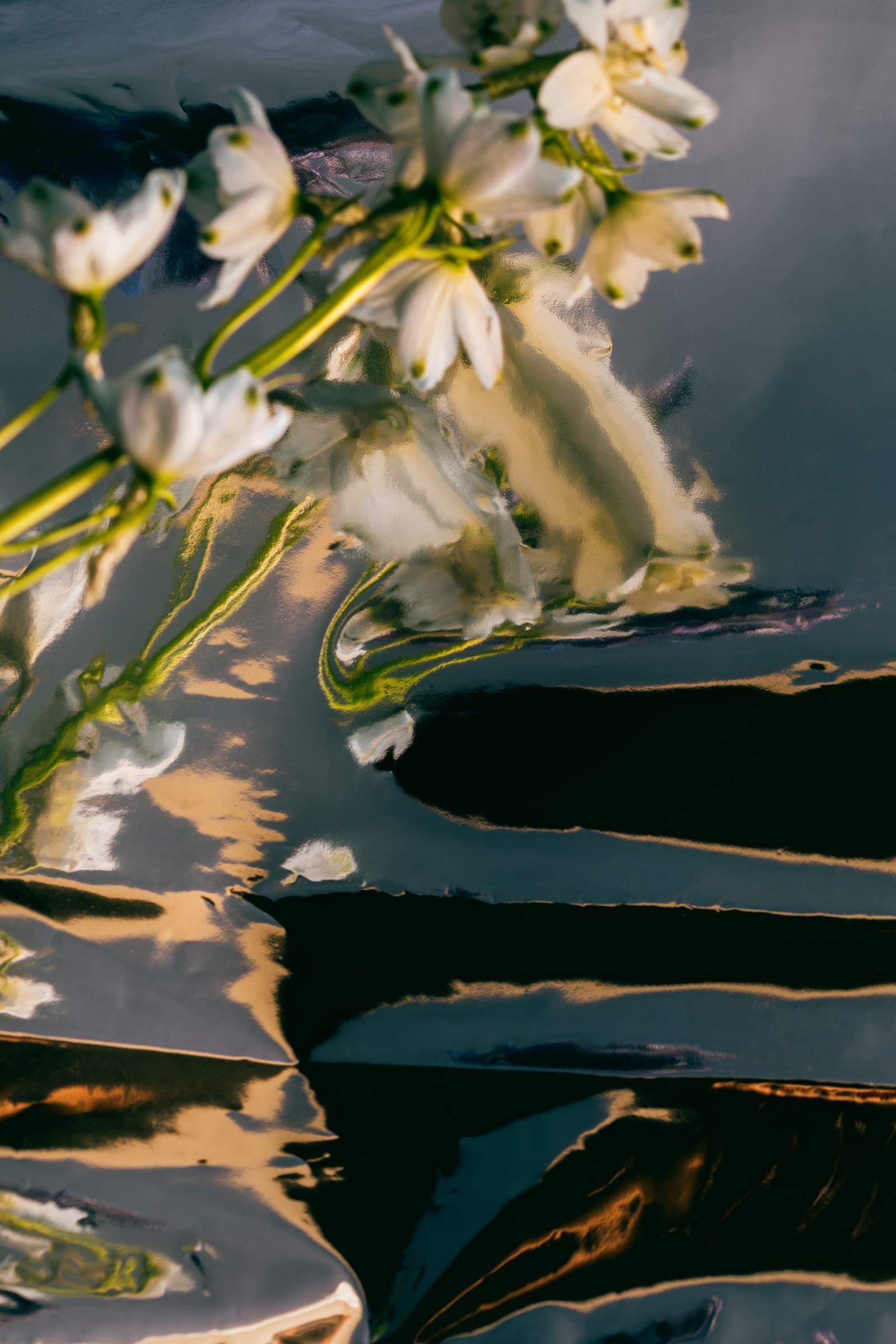 The 20-Minute Traditional Chinese Medicine Ritual That Helps You Sleep Better