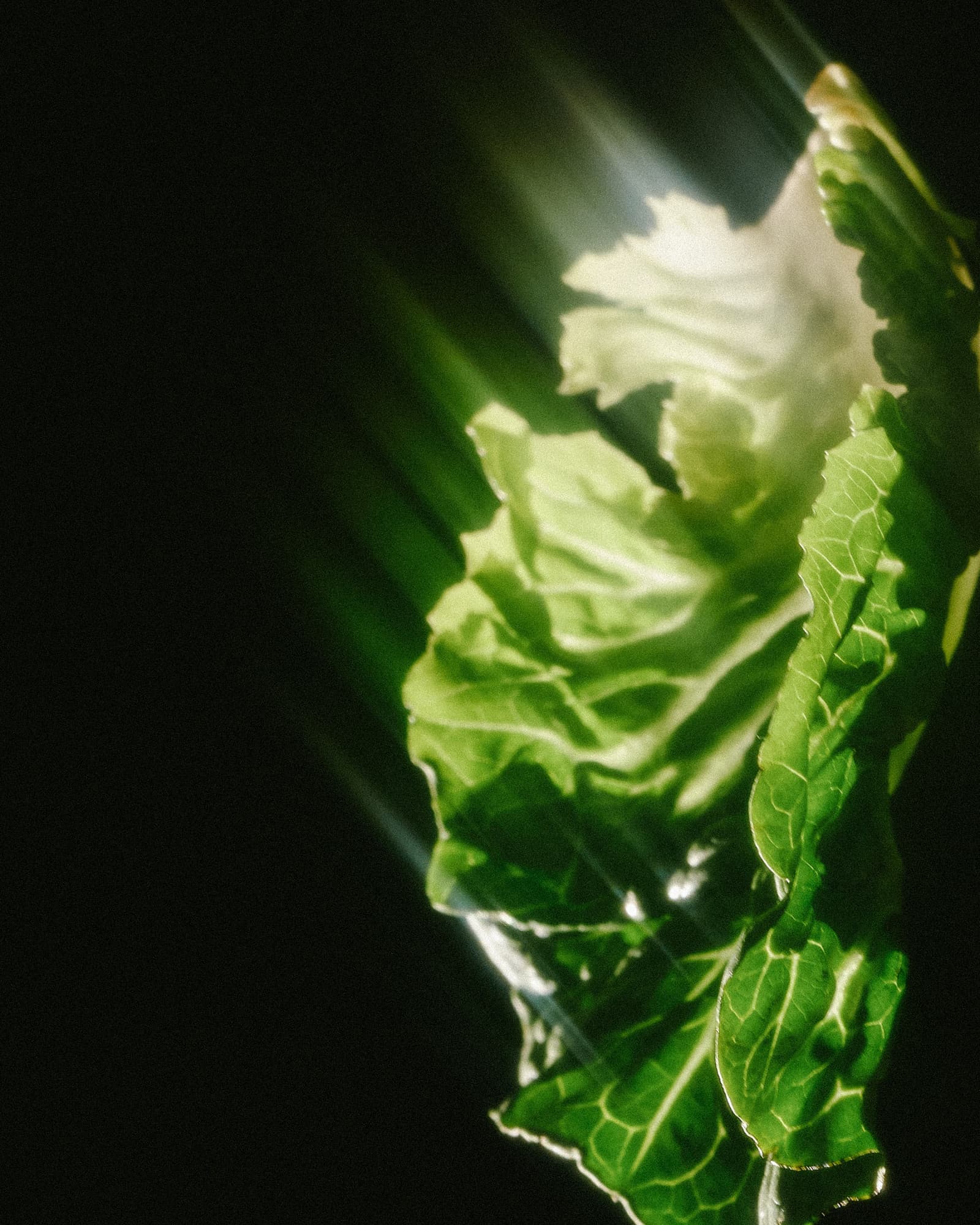 Experts Say These Foods Can Help Rewire Your Brain