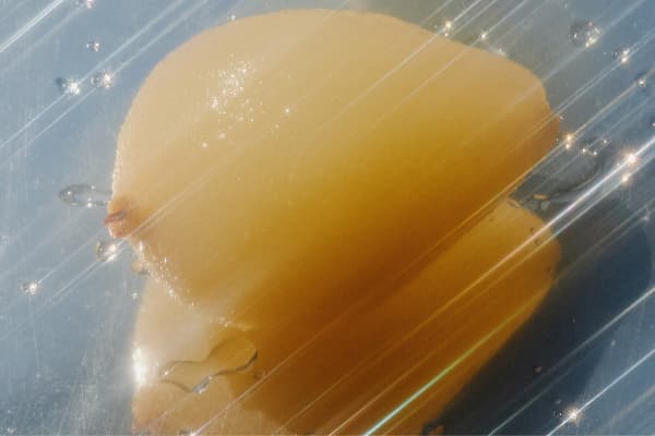The Best Gut Health Supplements Actually Worth Taking