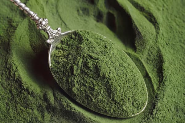 Moringa Powder: Benefits, Dosage And How To Use It 