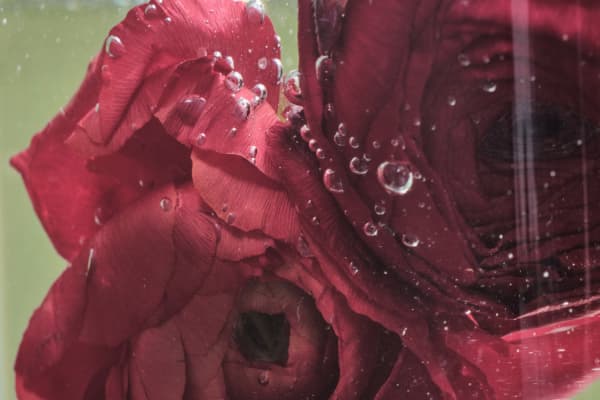 The Nutritional Deficiencies That Could Be Affecting Your Menstrual Cycle