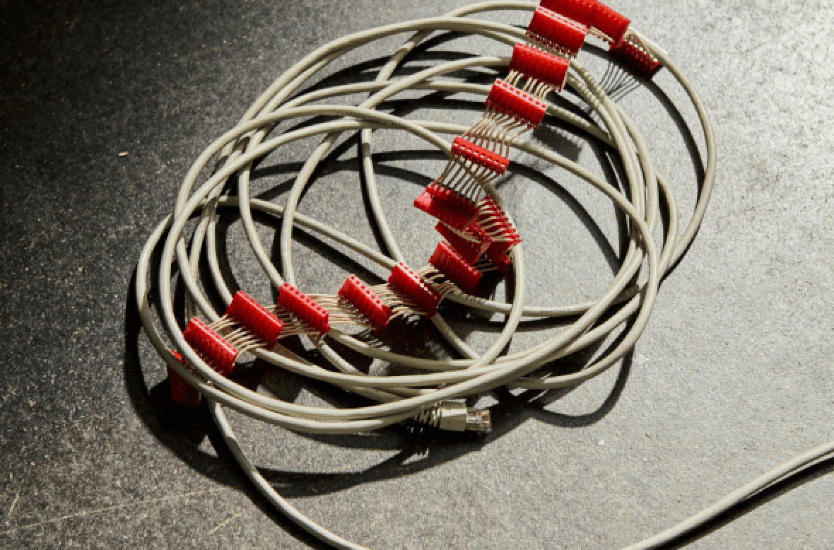 How to Naturally Boost Neuroplasticity