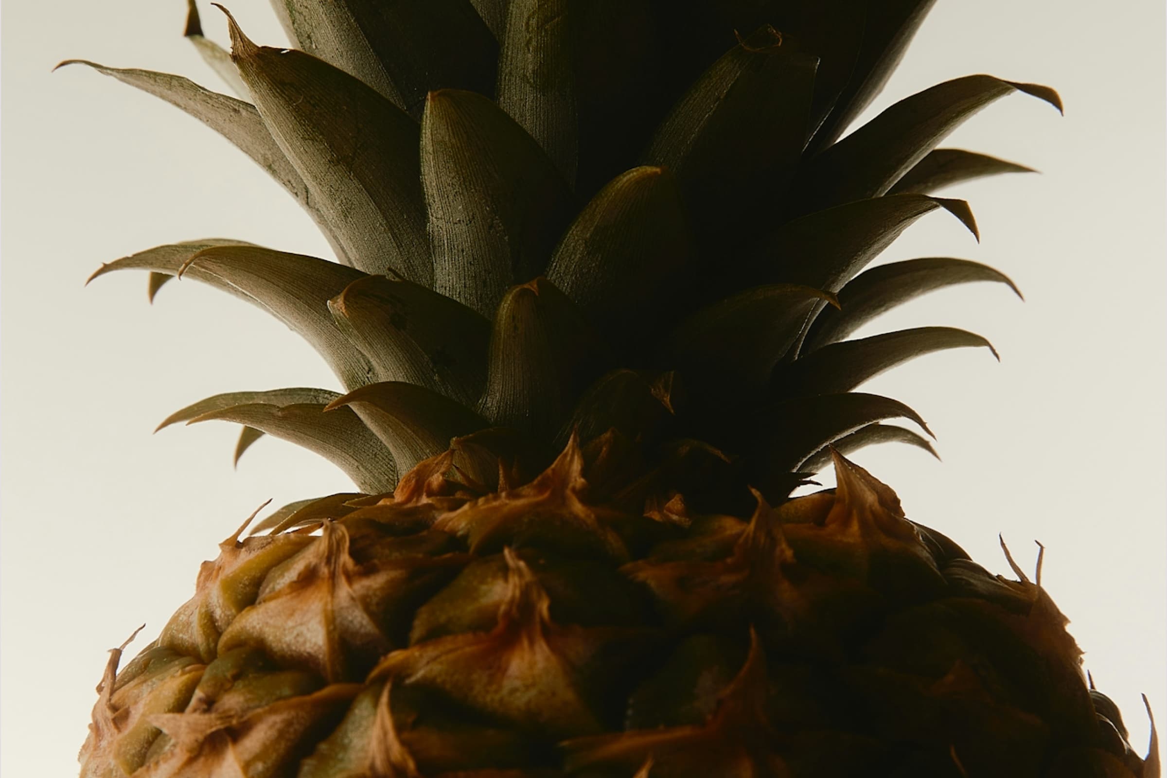Is This Tiny Pineapple Enzyme The Secret To Fighting Inflammation?