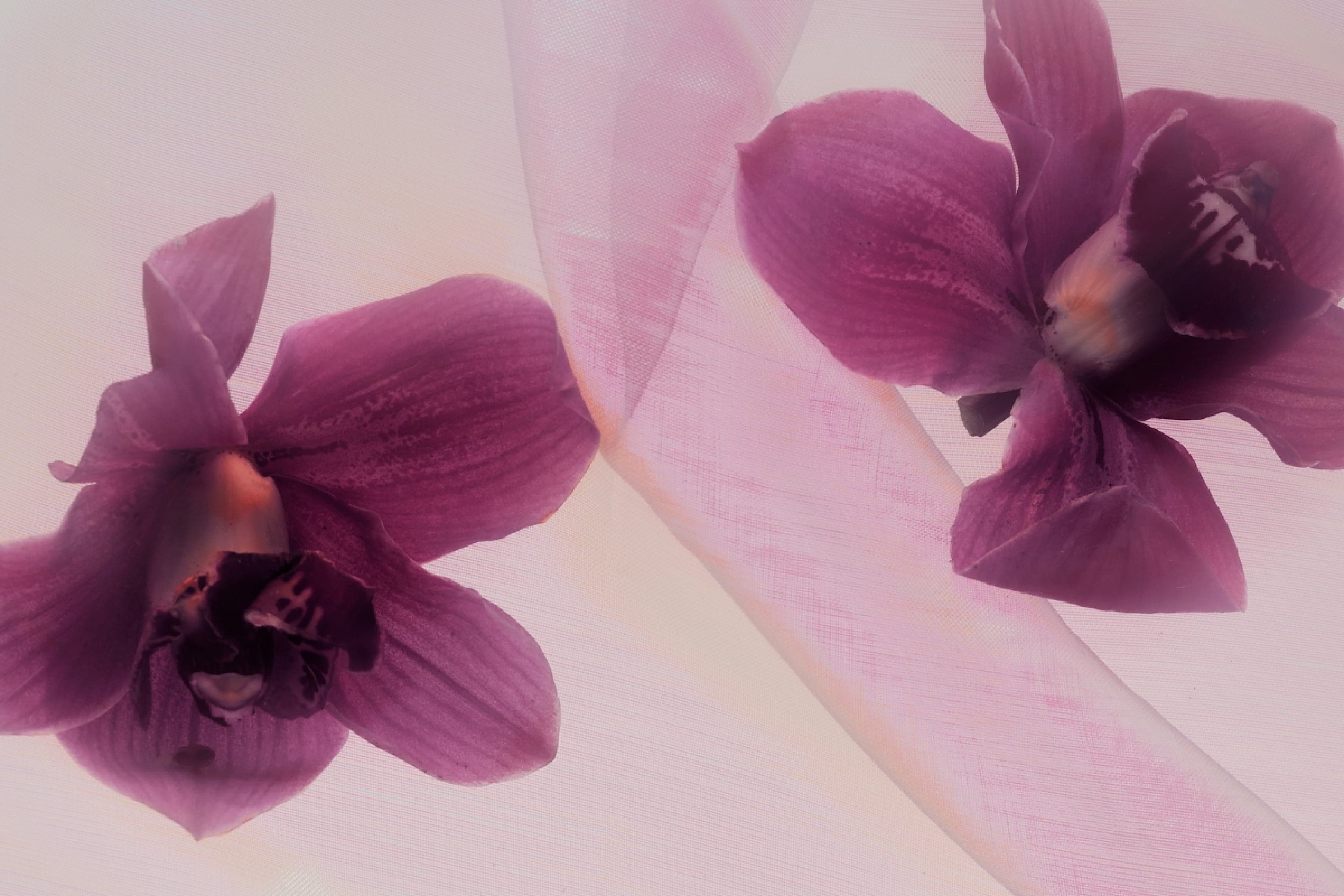 The Best Non-Toxic Swaps That Actually Make A Difference