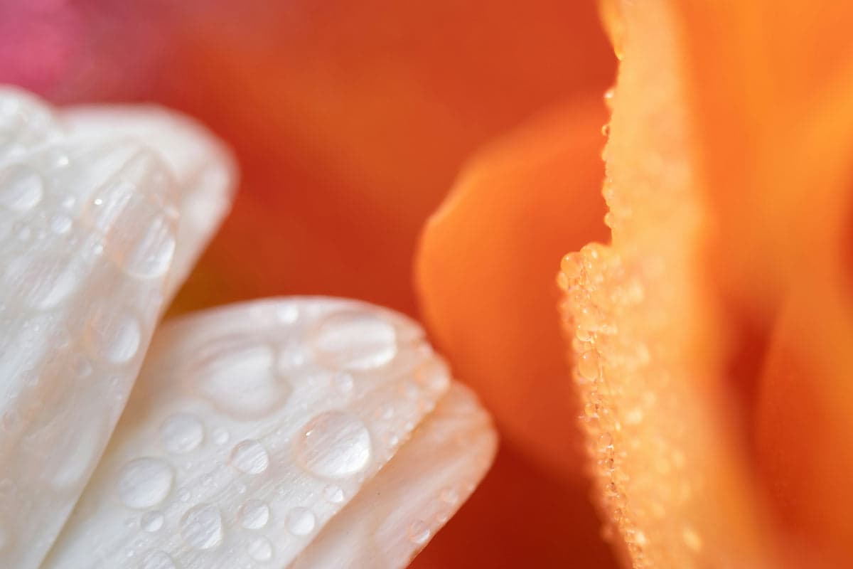 Biohack Your Sex Life