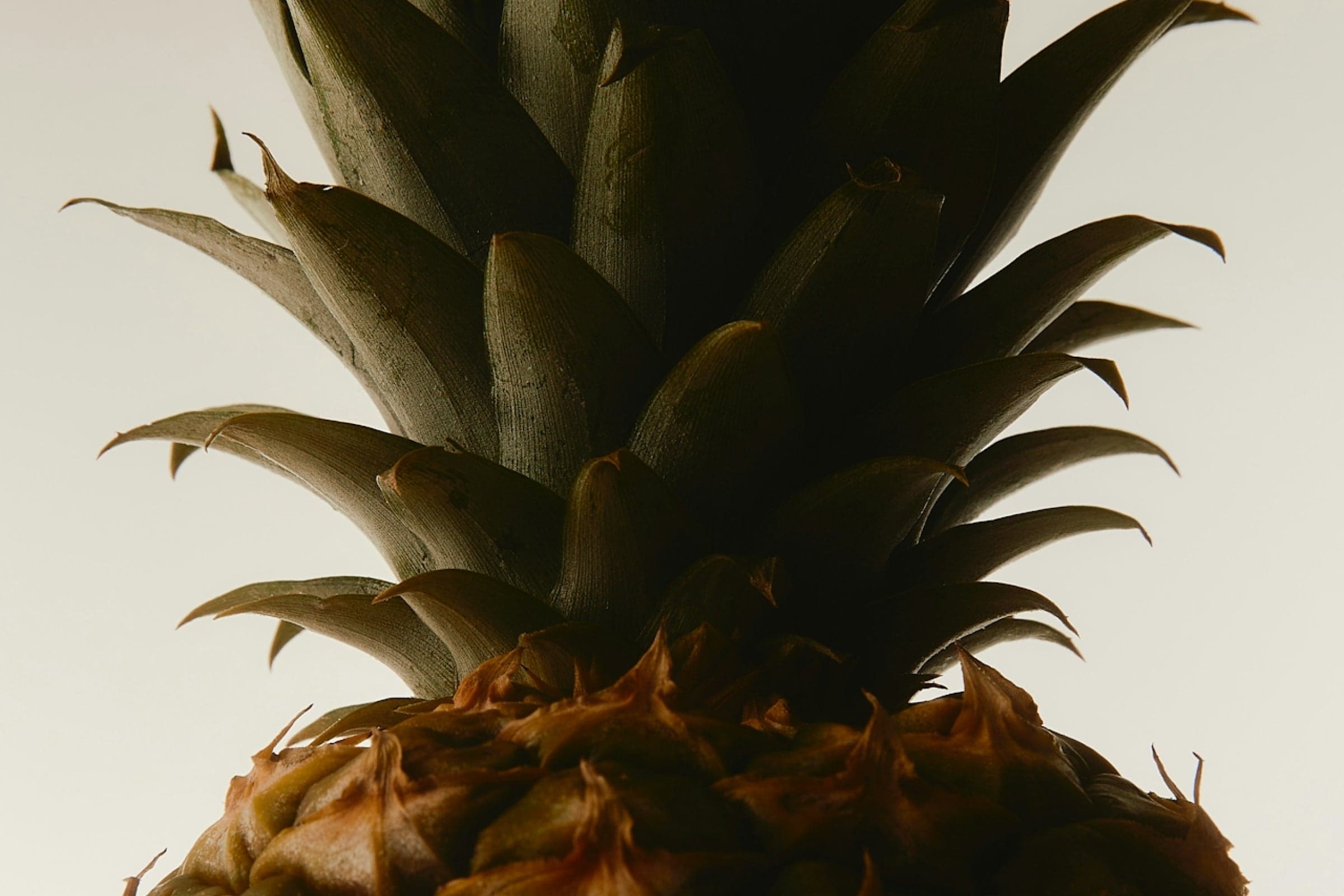 What If Your Bloating Isn’t ‘IBS’ But An Enzyme Issue?