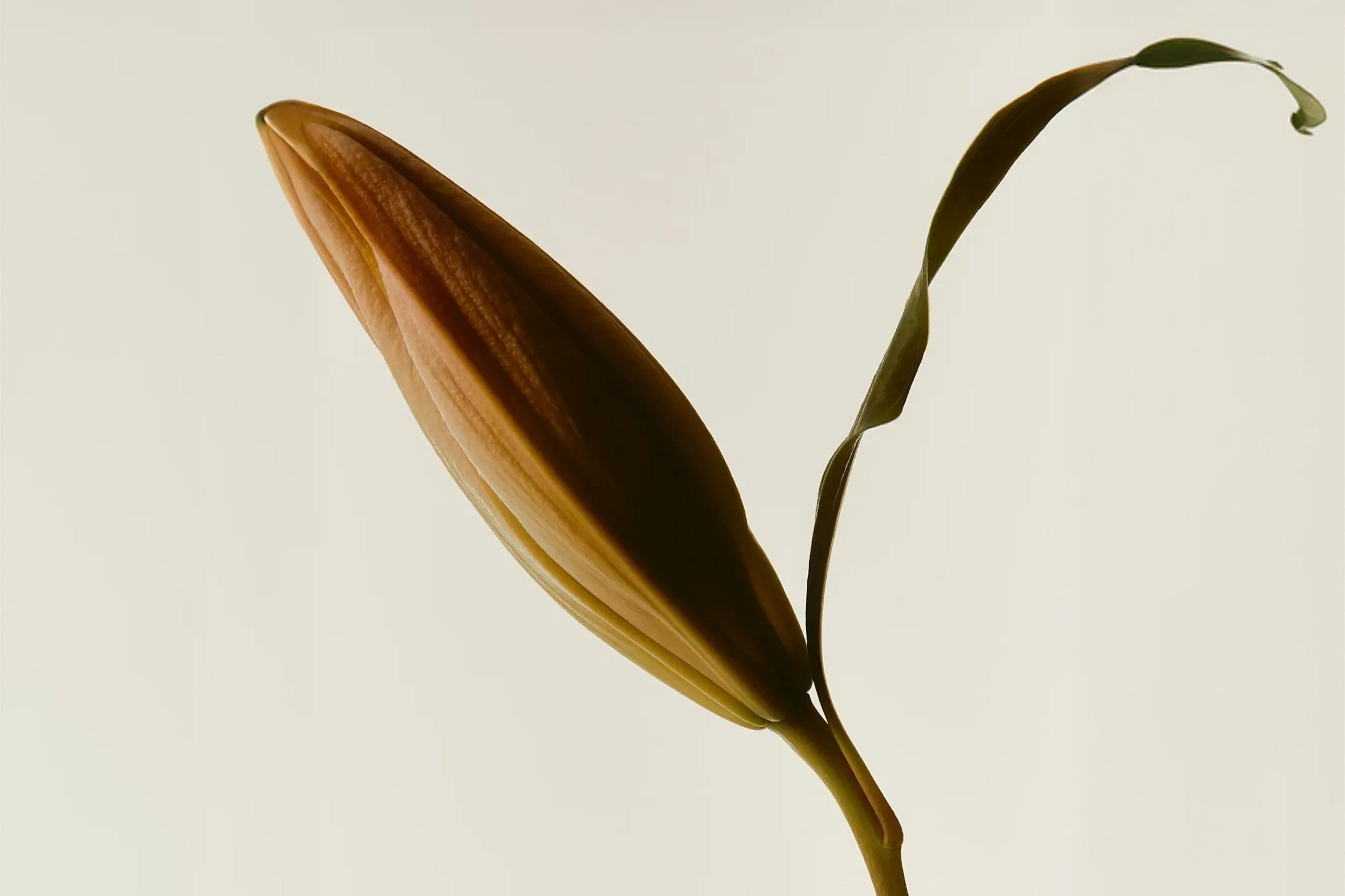 How To Increase Libido In Men (According To Hormones, Not Hype)