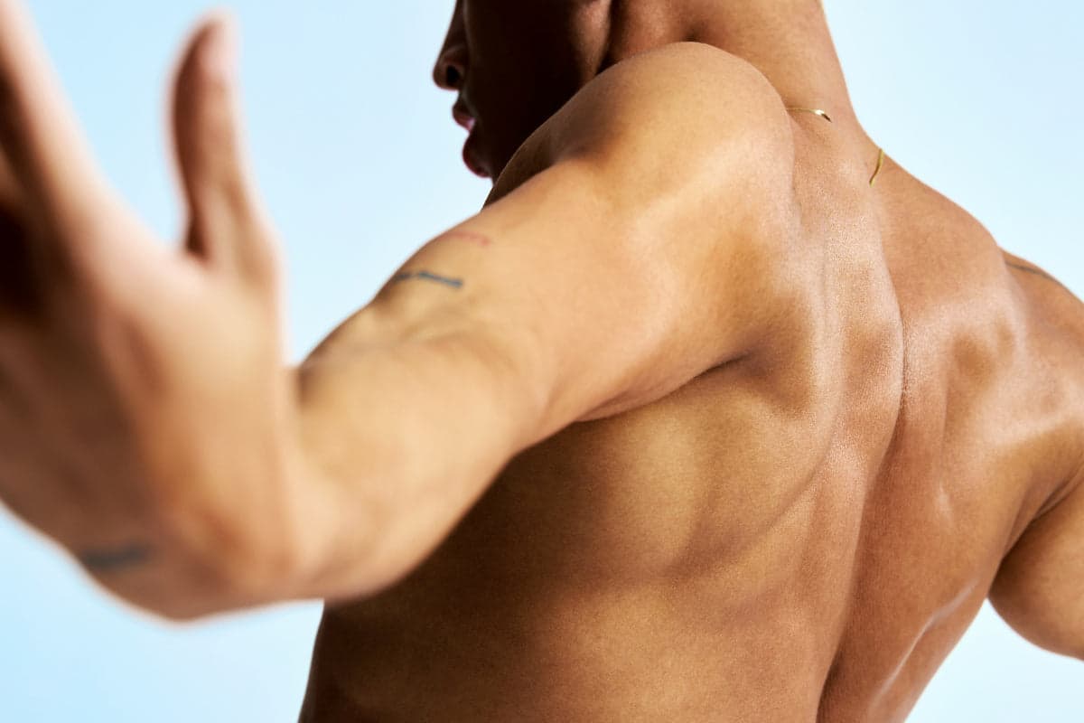 Is Muscle Mass The Organ Of Longevity?