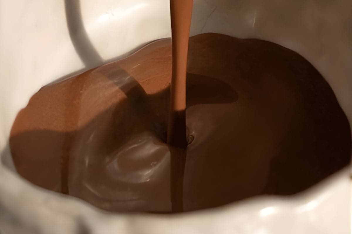 Is This The Real Sleepy Girl Coco?