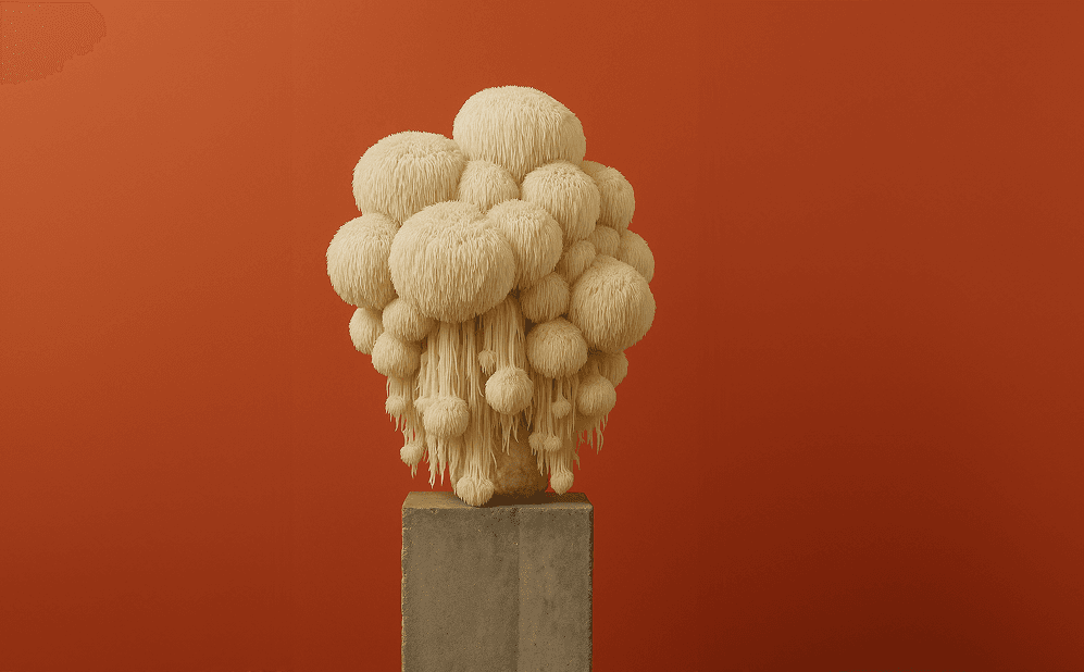 Lion’s Mane Mushroom: Benefits, Side Effects, And Supplements