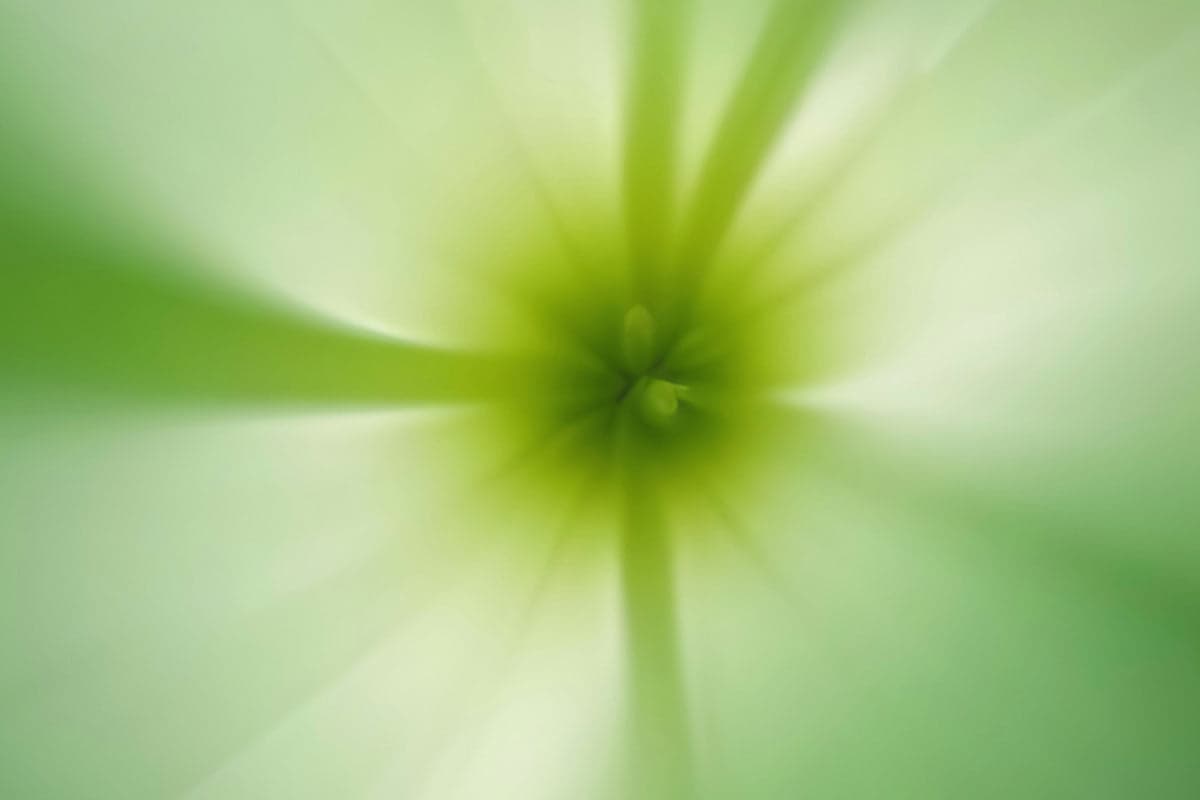 The Mother's Day Gift Guide