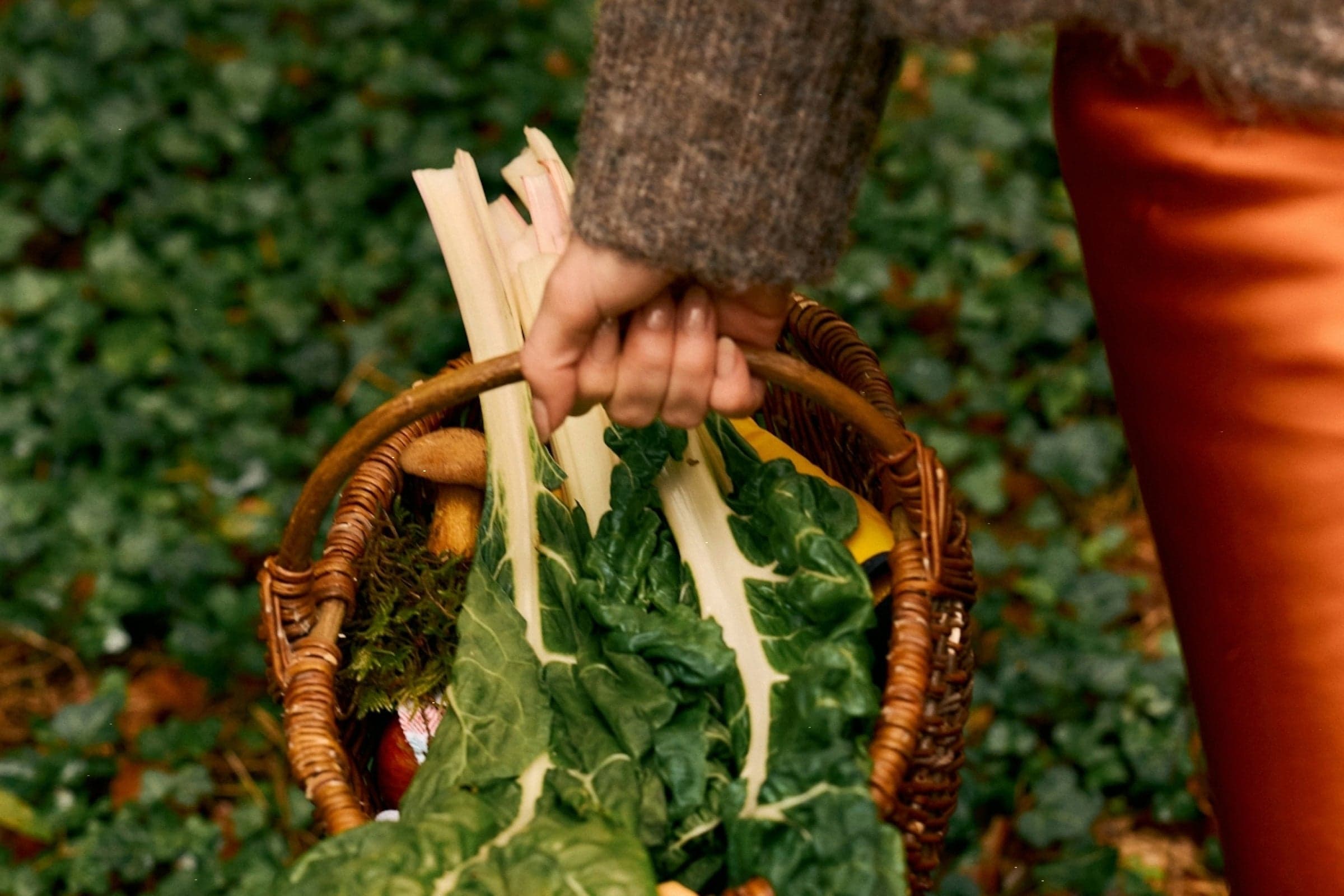 The Return Of Bitter Foods For Metabolic Flexibility