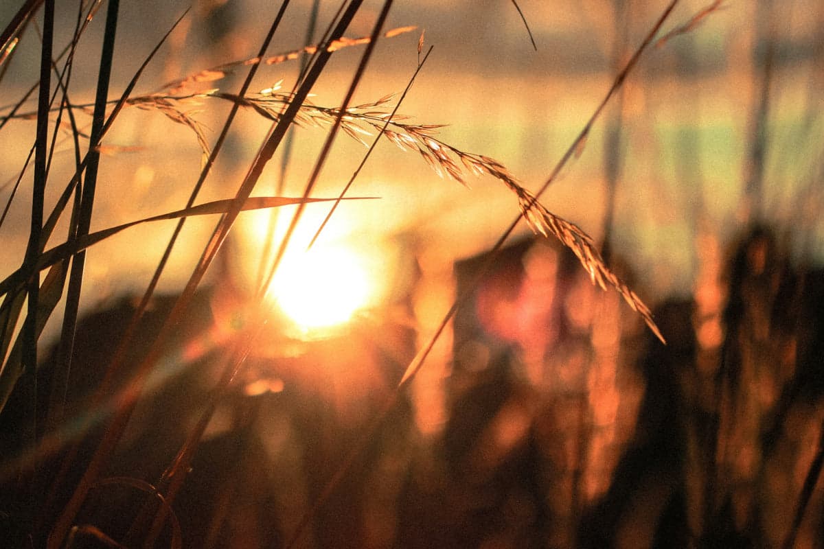 When Should I Start Taking Vitamin D Again?