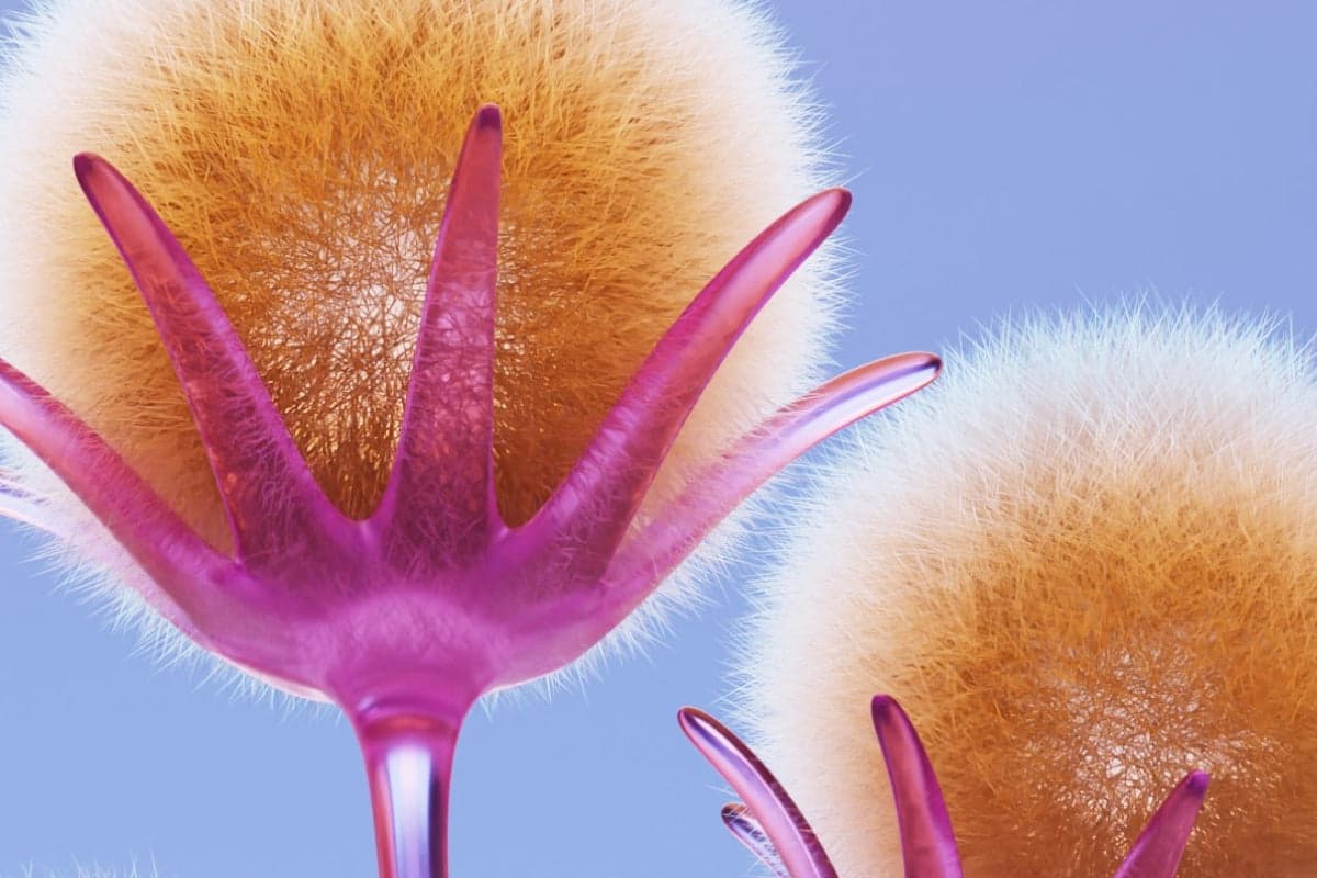 When Should I Start Thinking About Anti-histamines?