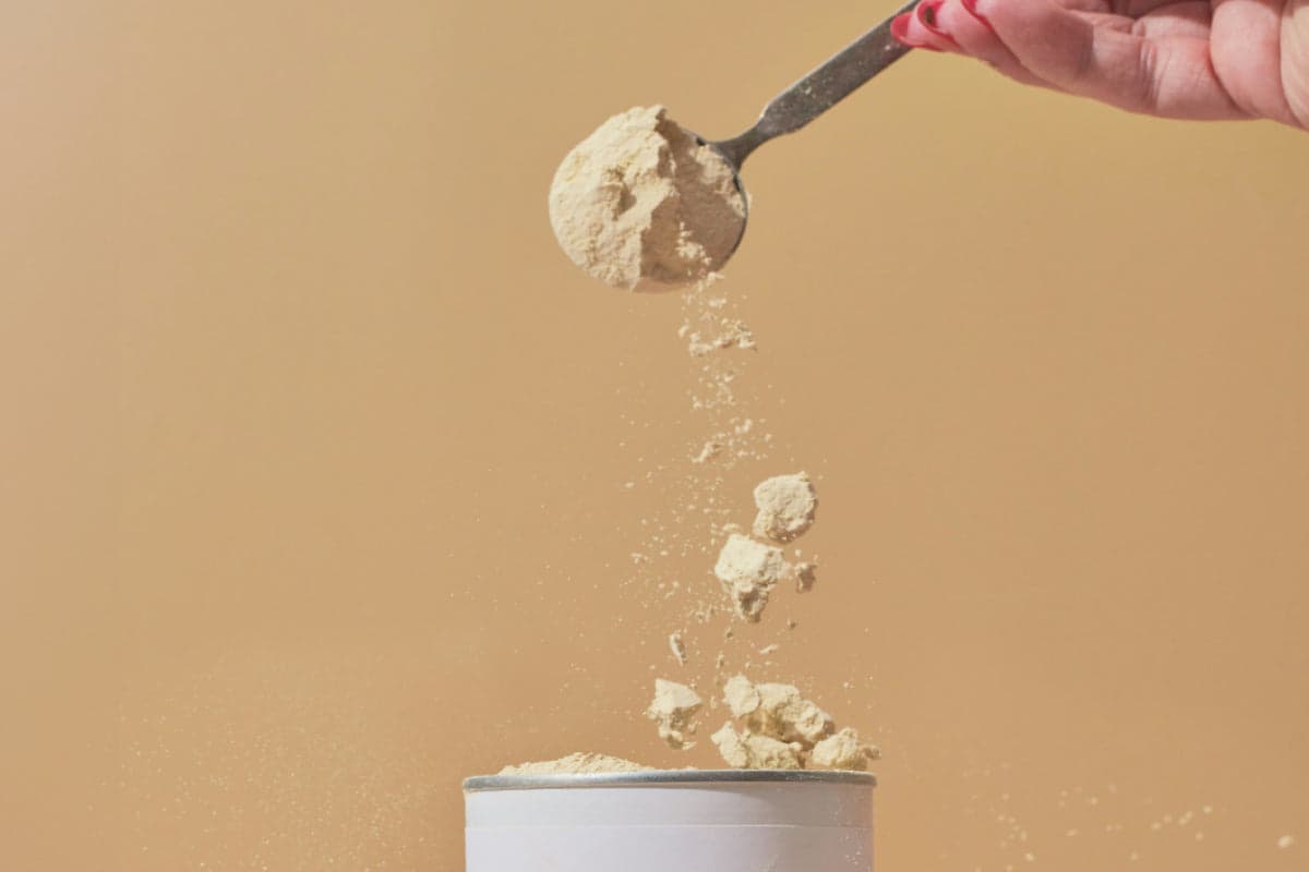 Which Protein Powder Should I Use?