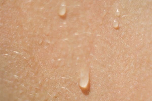 Cold plunge vs. Sauna