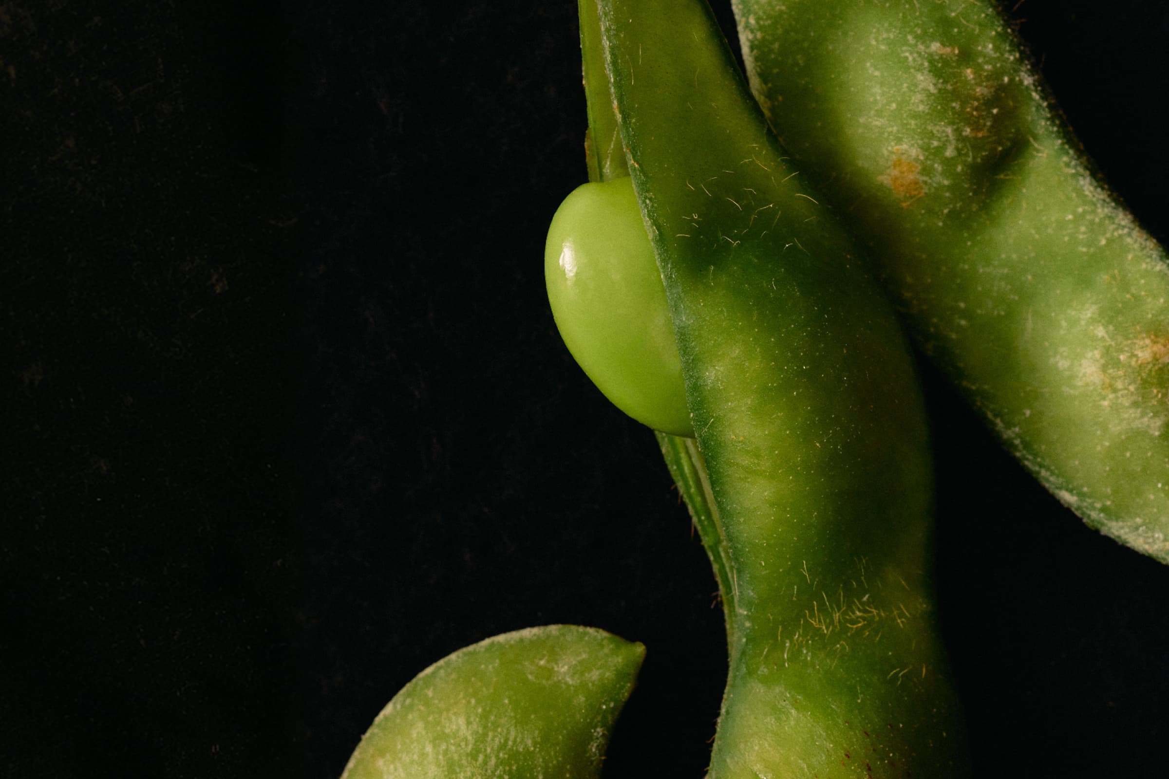 Could Your Diet Be Affecting Fertility Before You Even Try?