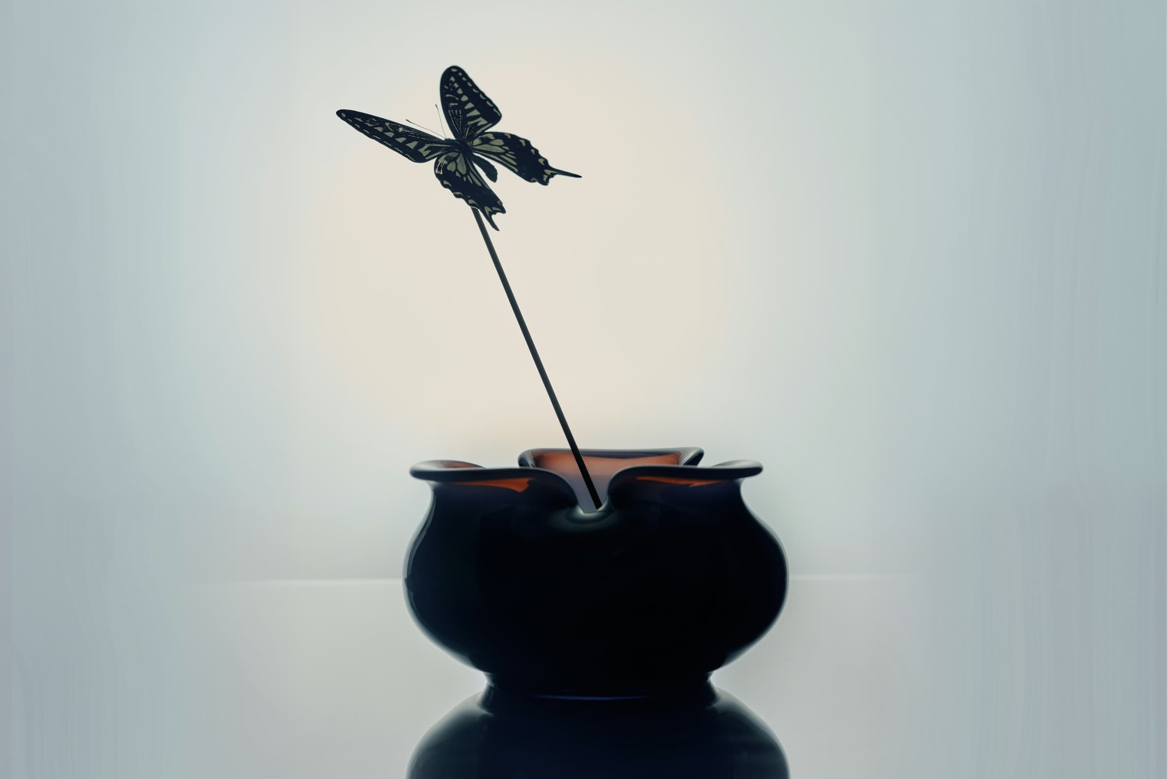 Can You Really Swerve Jet Lag? These Top Tips Say So