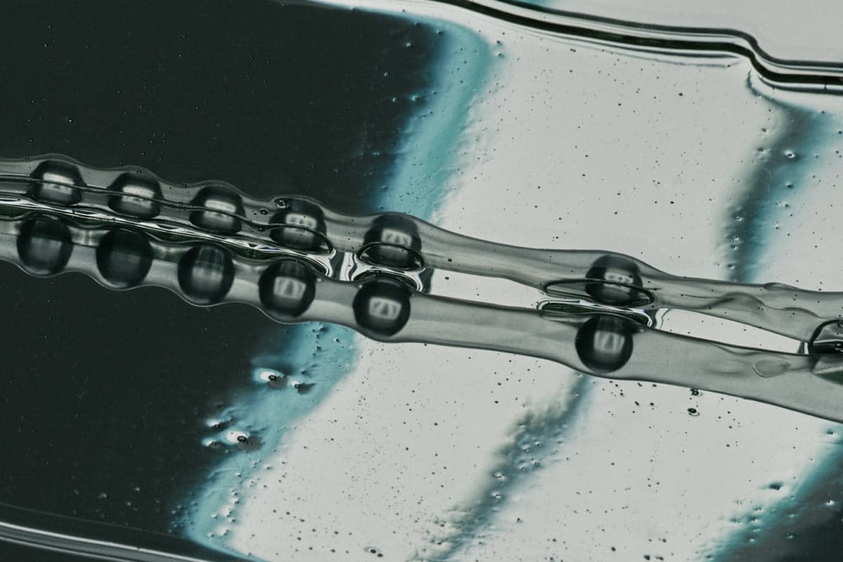 Selenium Supplements Or Brazil Nuts: Which Is Better?