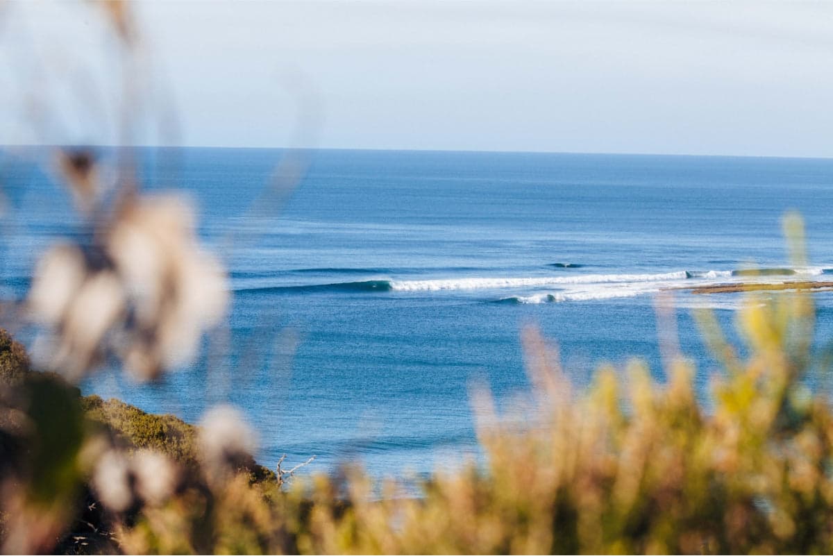 Serotonin And The Sea: How Coastal Air Really Lifts Your Mood