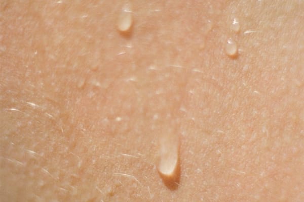 Cold plunge vs. Sauna