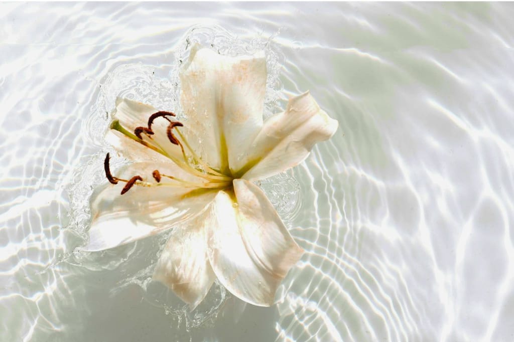 Why 'Fight Or Flight' And Mindful Breathing Might Be The Same?