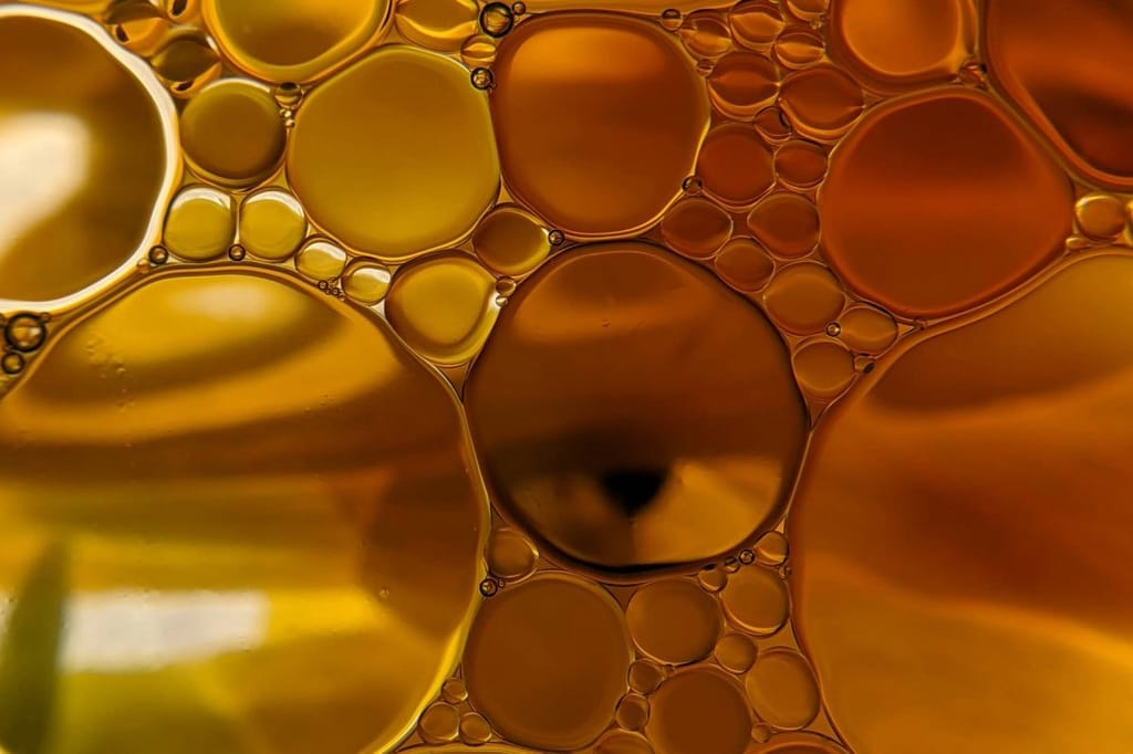Seed Oils: Are They As Bad As We’re Being Told?
