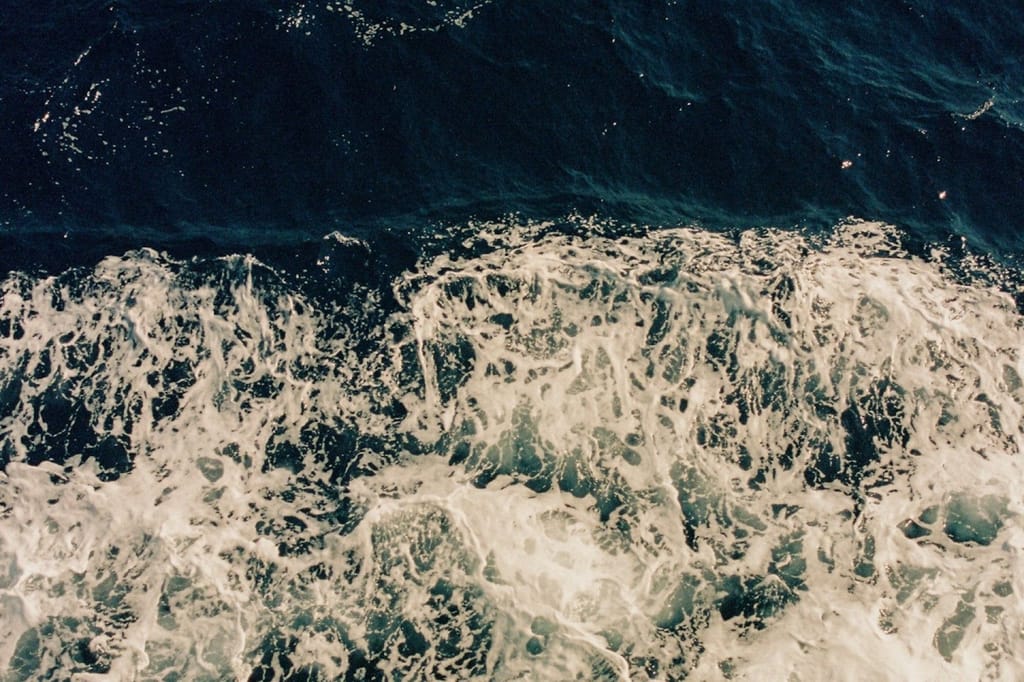 The Truth Behind Salt - Is Celtic Sea Salt Worth The Hype?