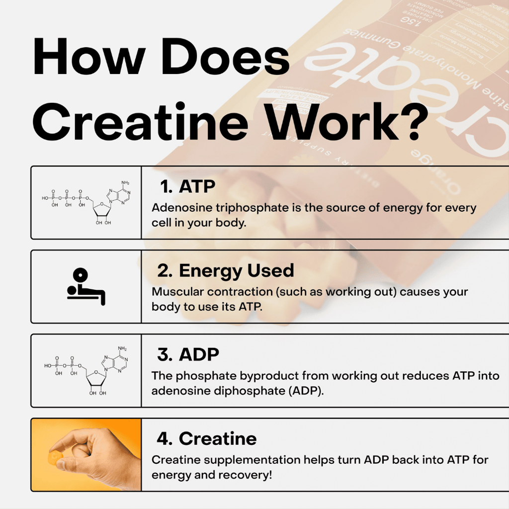 Creatine Monohydrate Gummies - Watermelon - Image 6