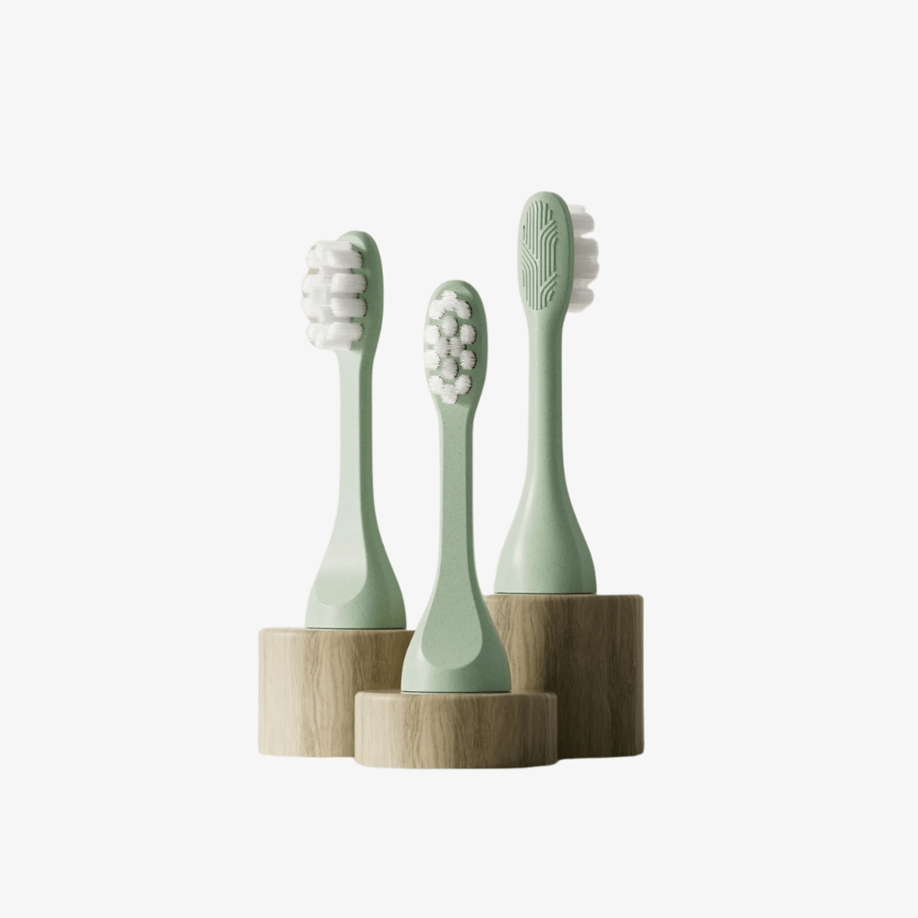 SURI Sonic Replacement Heads - Winter Fern
