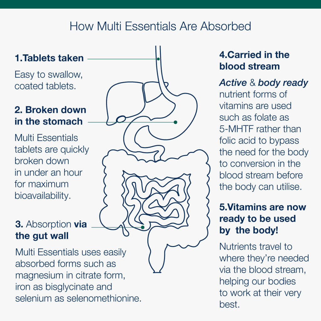 Multi Essentials For Women - Image 4