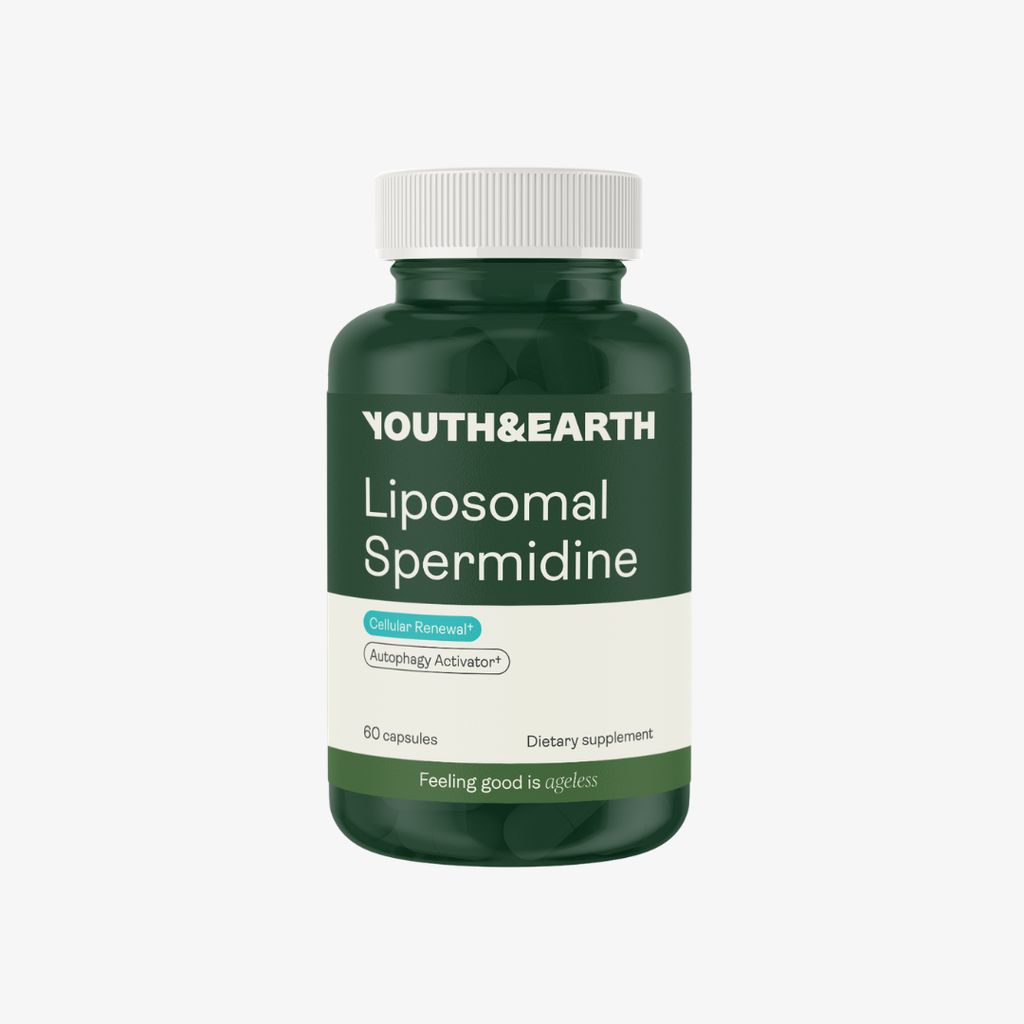 Liposomal Spermidine
