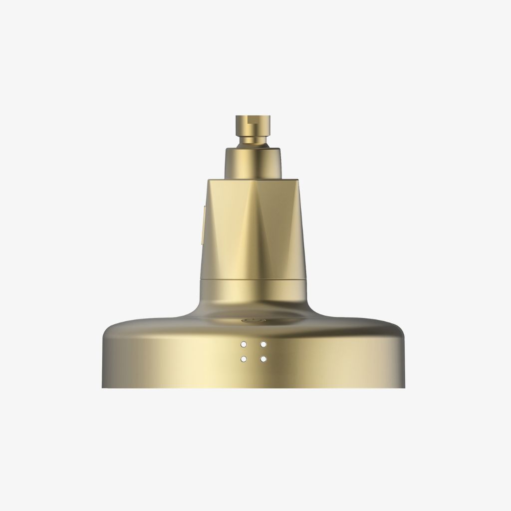 Red Light Showerhead Filter - Matte Brass