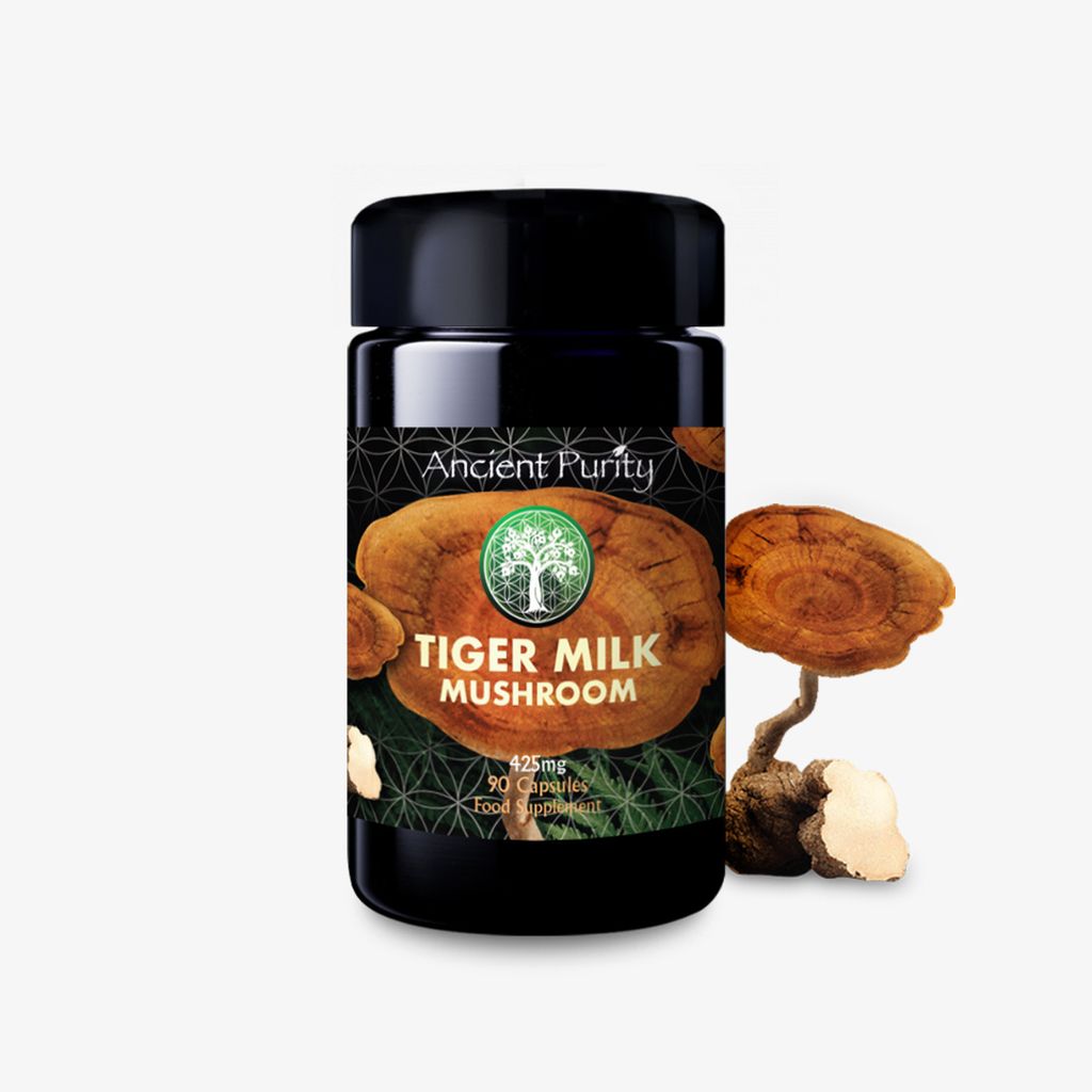 Tiger Milk Mushroom
