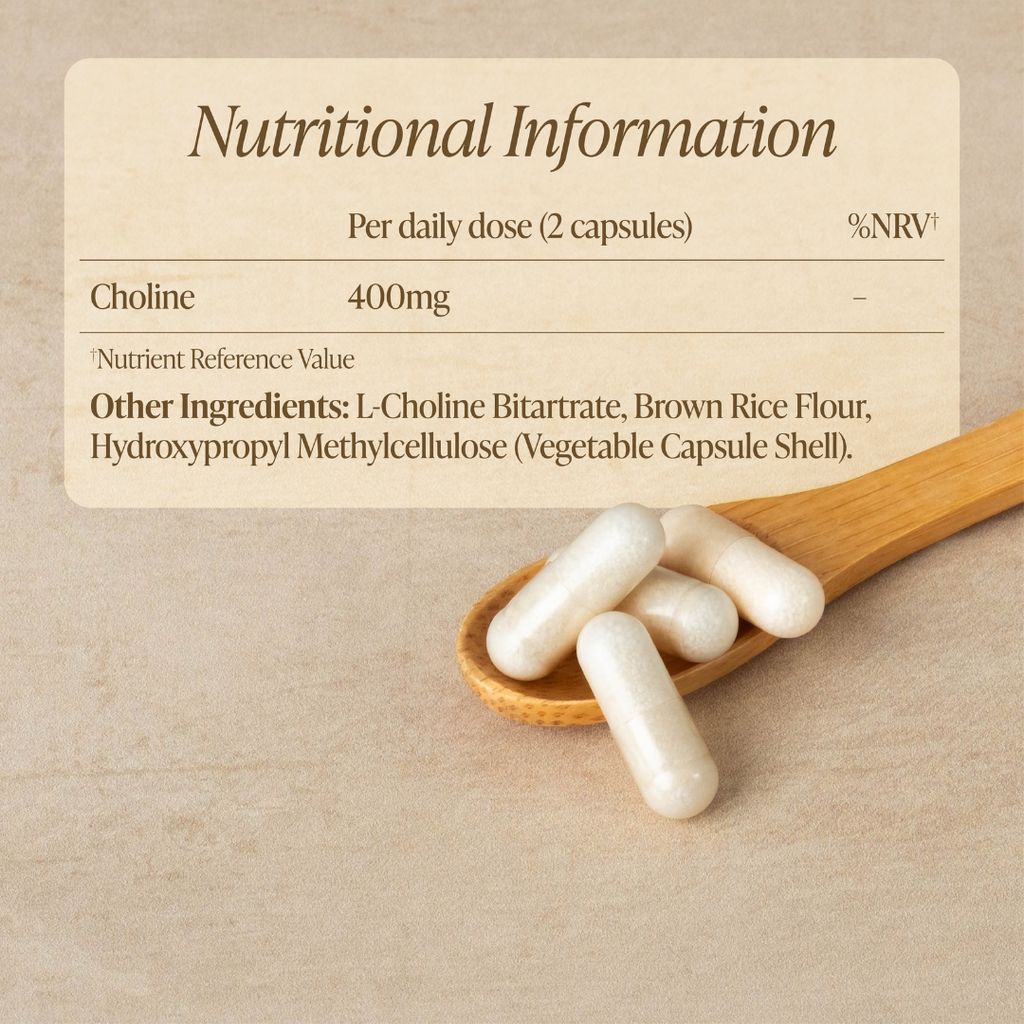 Choline - Image 2
