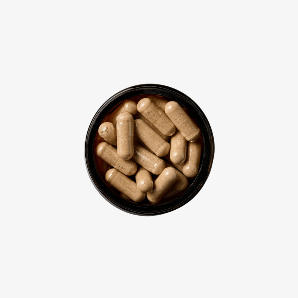 Lion's Mane for the Brain - Image 3