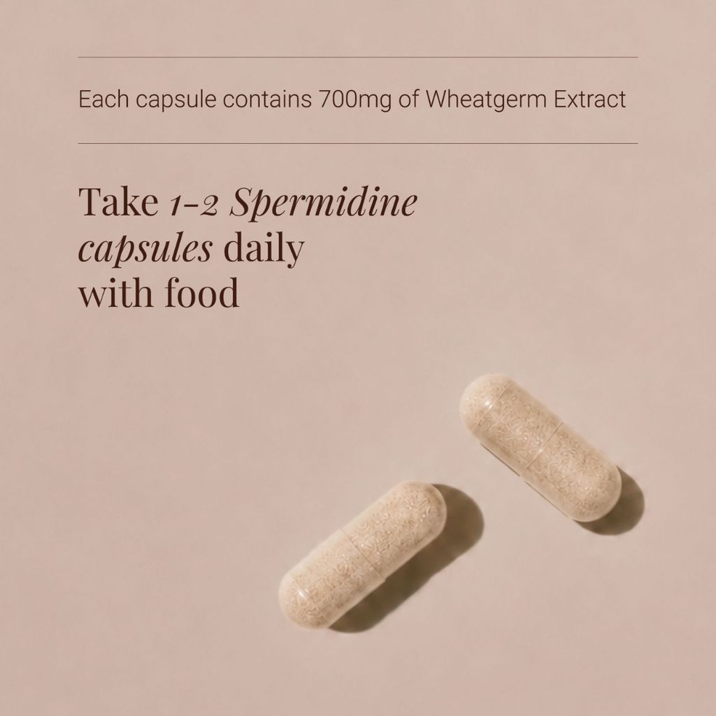 Spermidine - Image 3