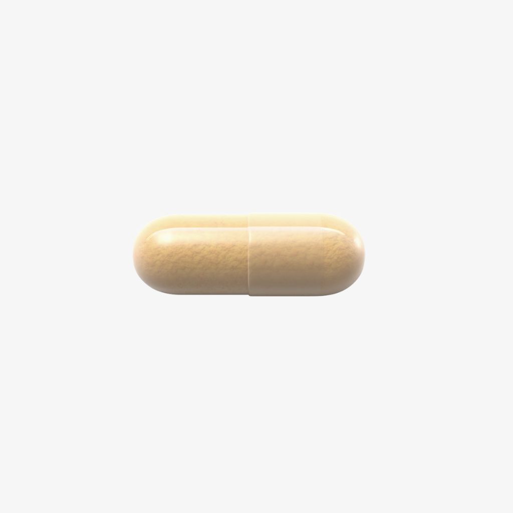 Curcumin Fortified - Image 3