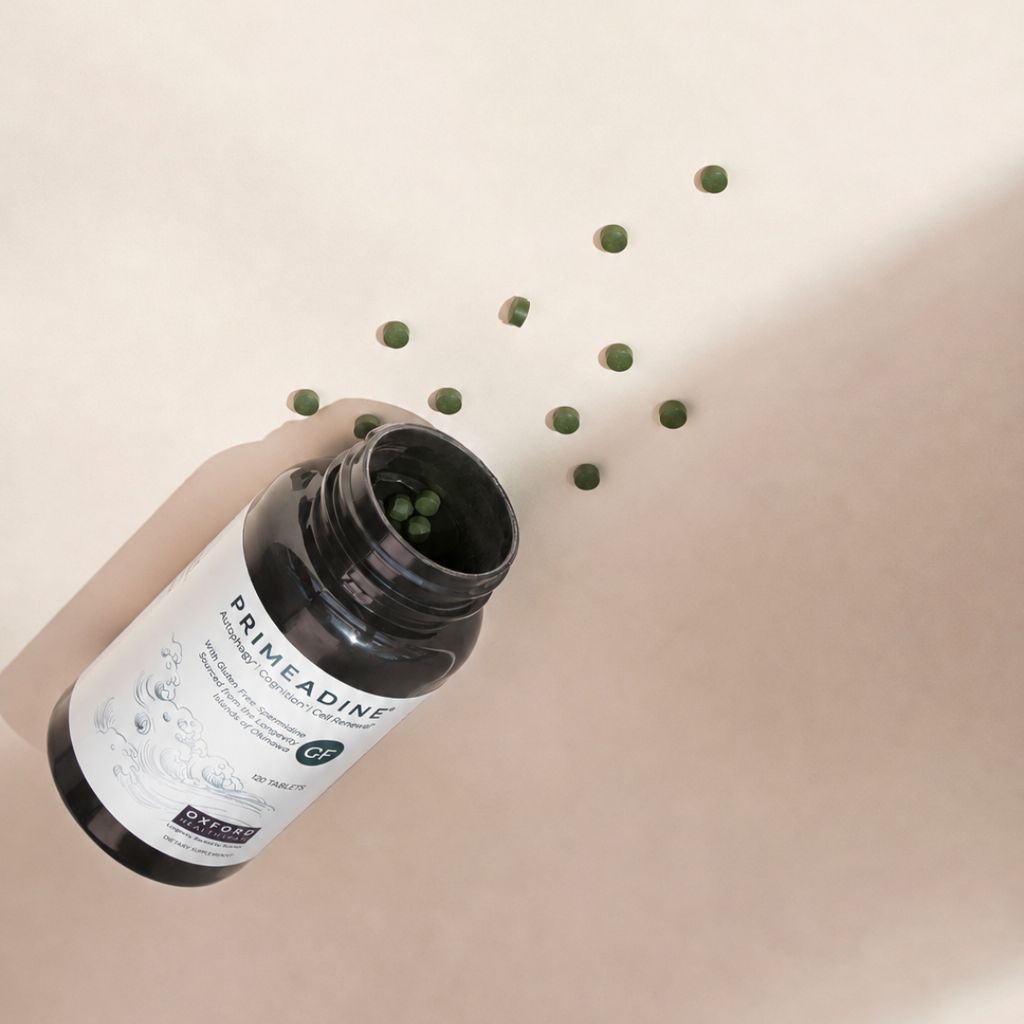 Primeadine® GF Gluten-Free Spermidine - Image 3