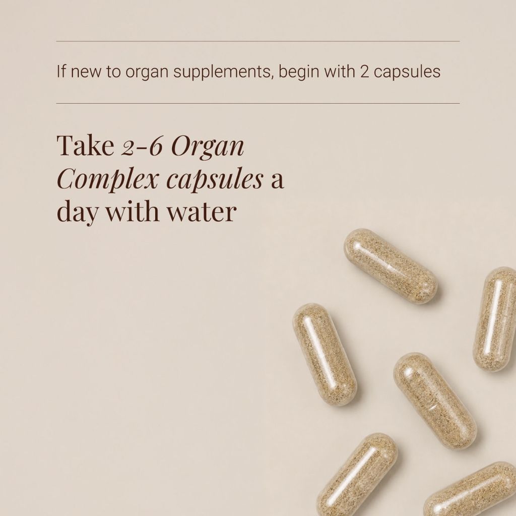 Organ Complex - Image 3
