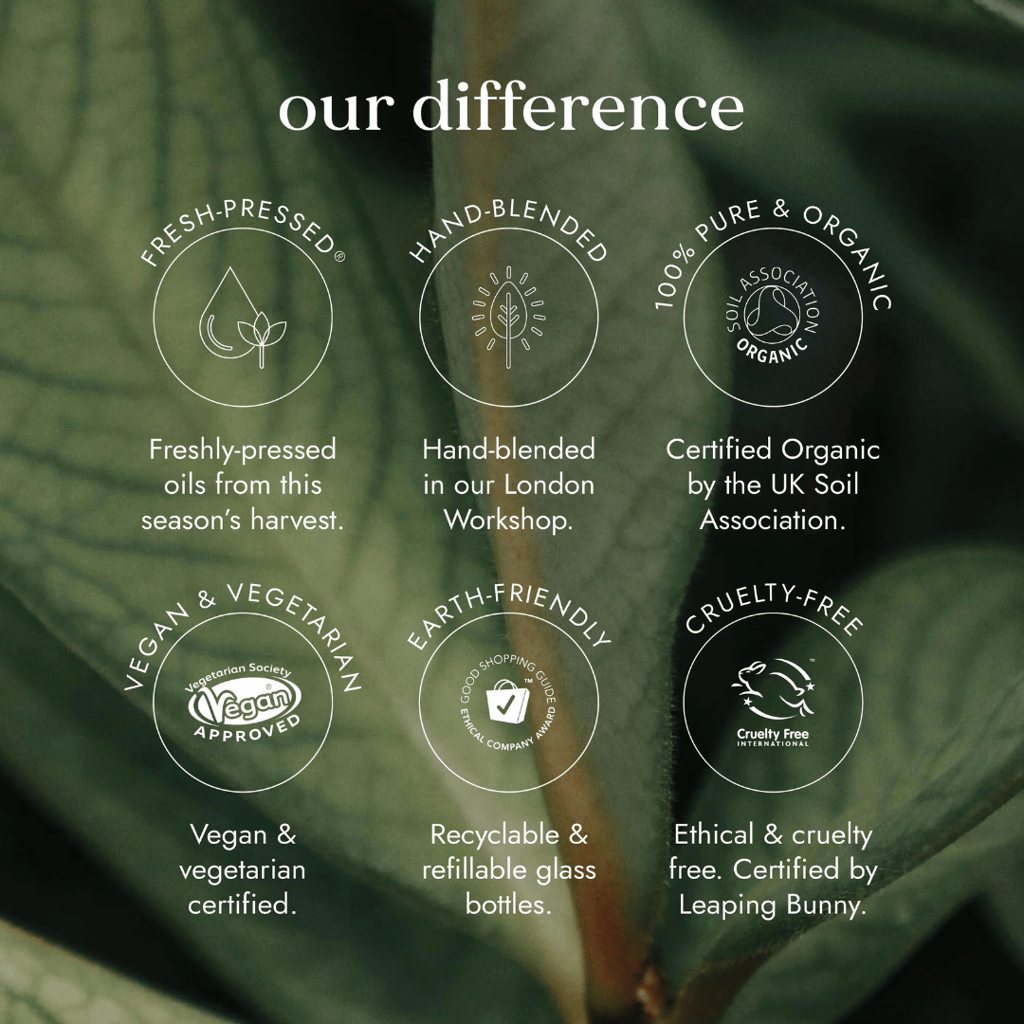 Calendula Oil - Image 2