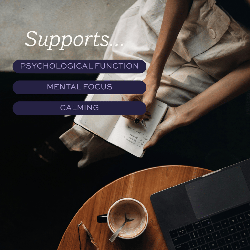 Aduna Advanced Superfood Blend - Mind - Image 2