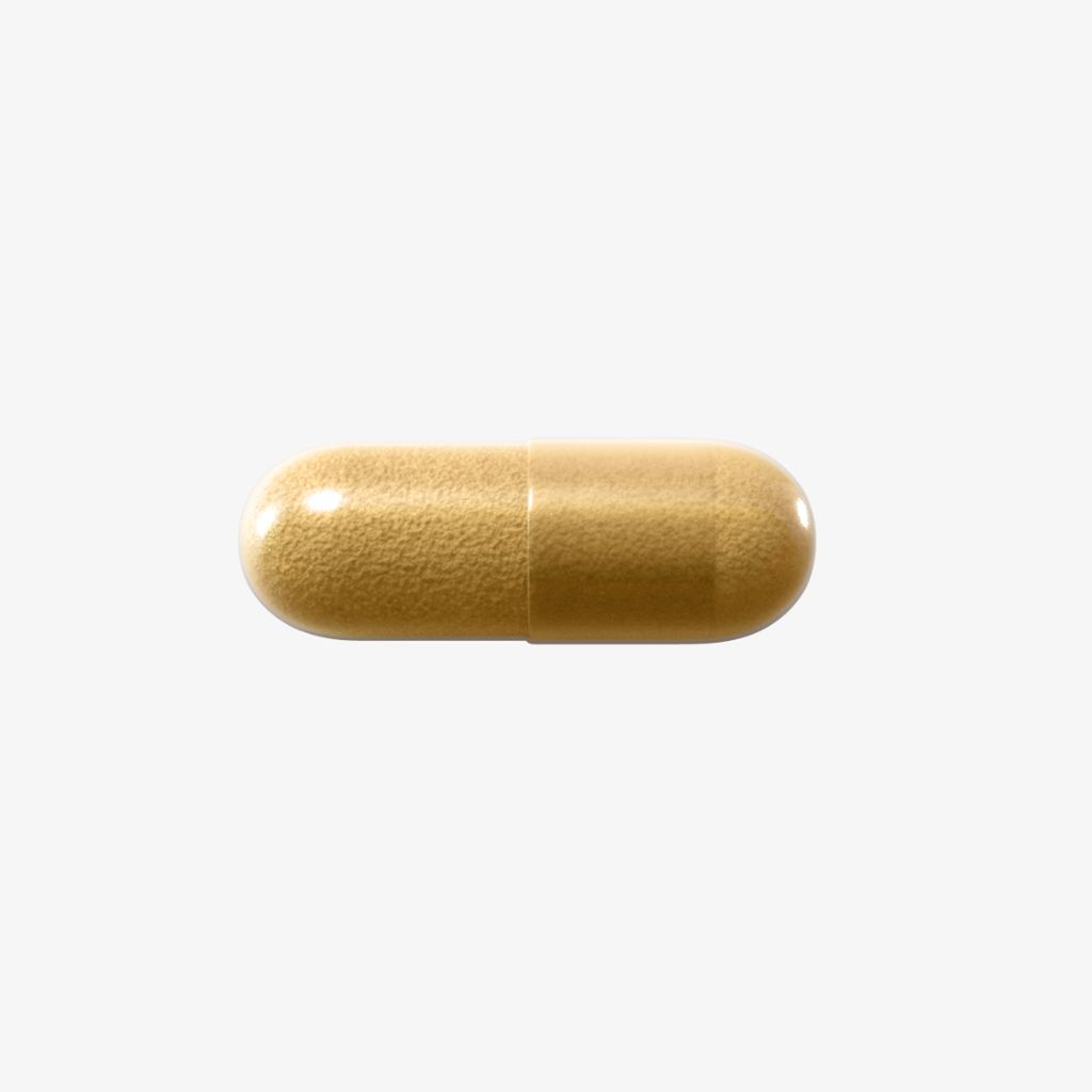 Lion's Mane Bioactive - Image 2