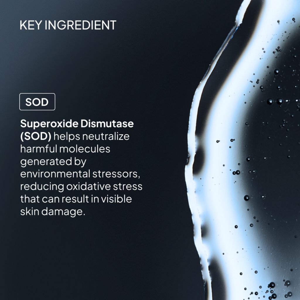 Superoxide Dismutase Saccharide Mist - Image 6