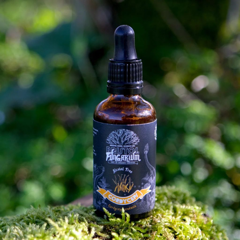 Cordyceps Sinensis Tincture - Image 2