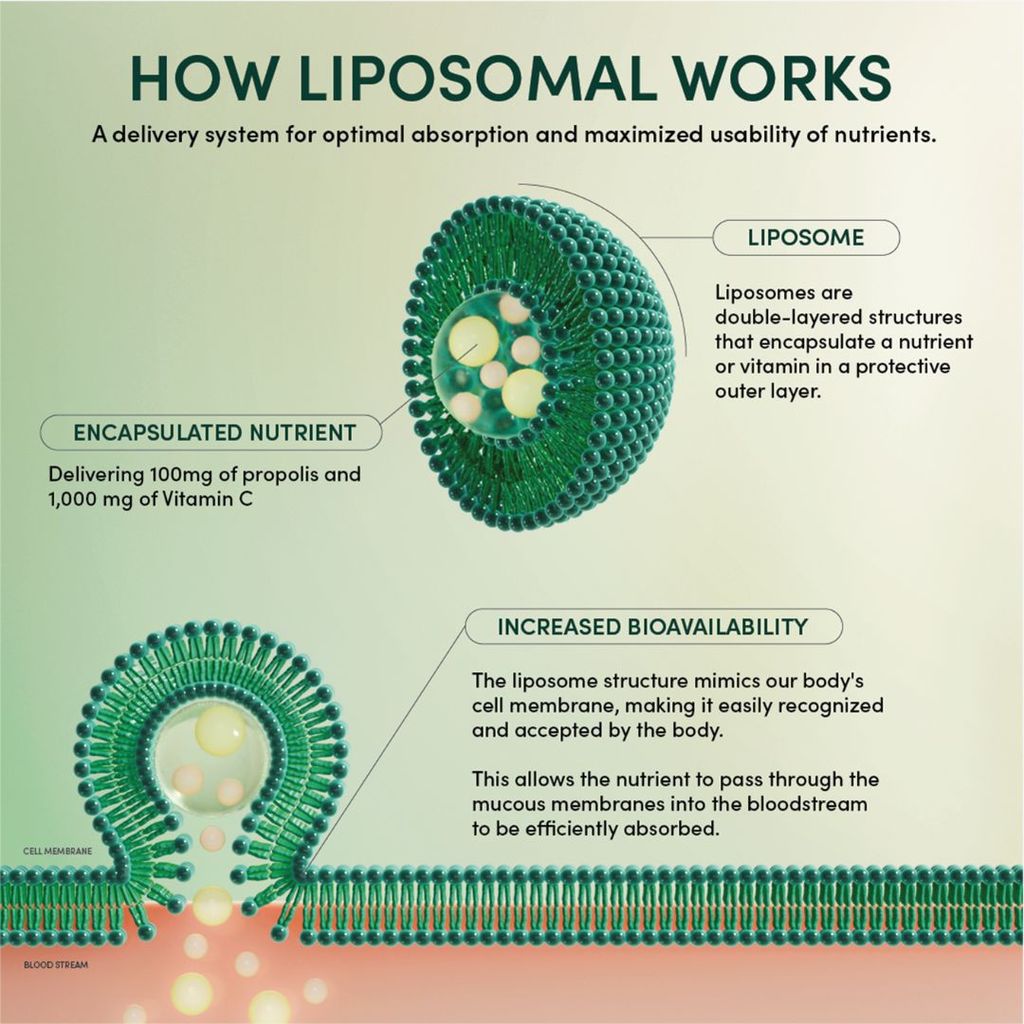 Propolis Liposomal and Vitamin C - 30's - Image 7