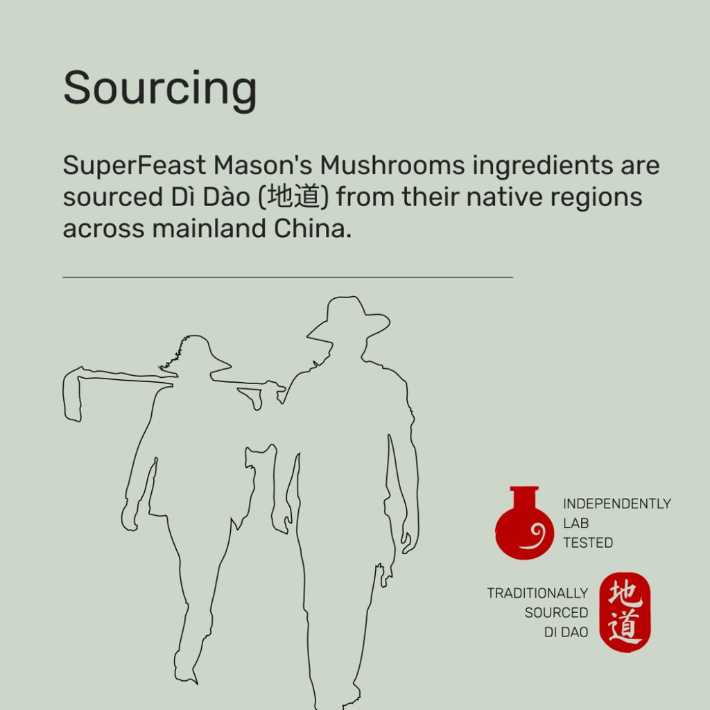 Mason's Mushrooms - Image 5