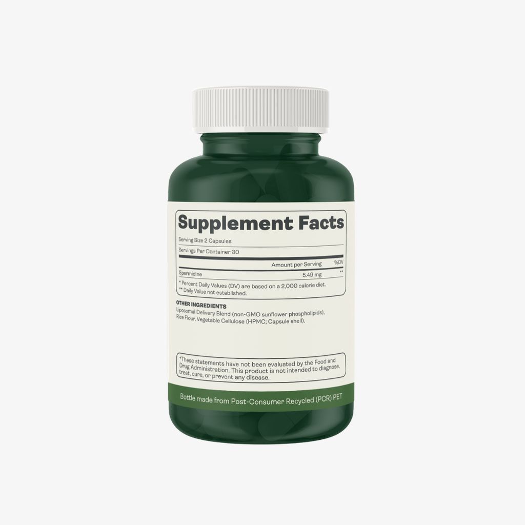 Liposomal Spermidine - Image 2