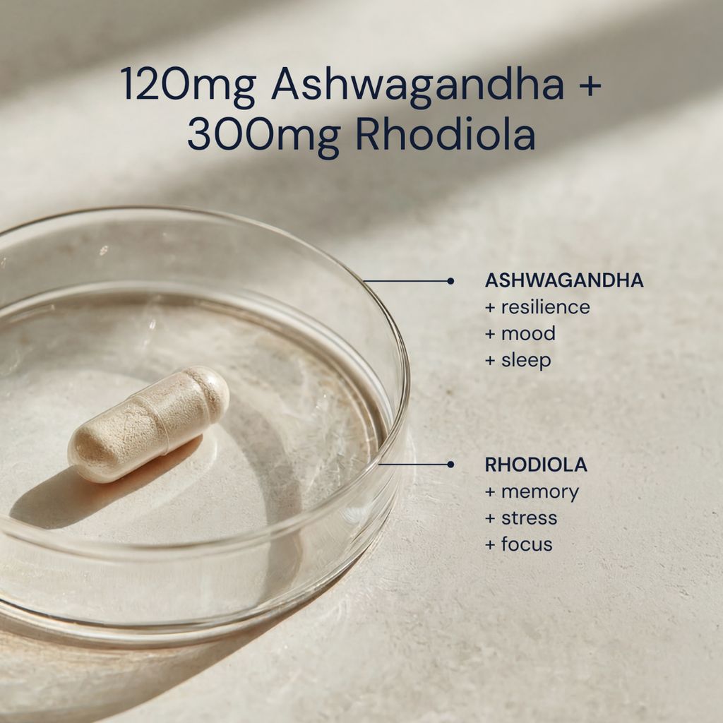Ashwagandha + Rhodiola - Image 4